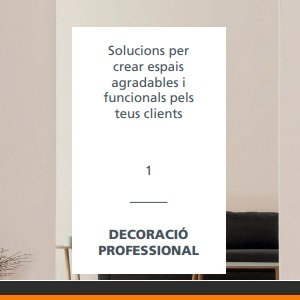 1- Decoracin Profesional