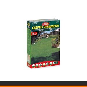Semillas de csped